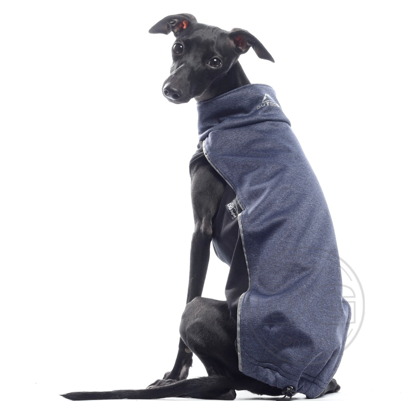 DG OUTDOOR SOFT SHELL TOP“ BLAUES SHIRT FÜR PLI, WHIPPER, GALGO, GREY