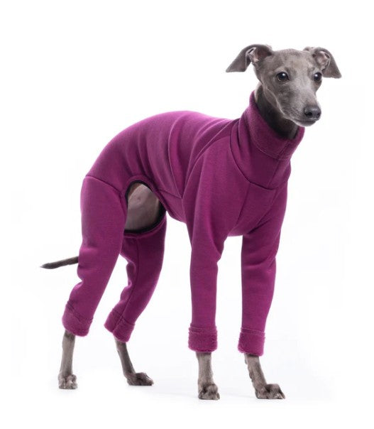 Tutine a 2 e 4 zampe