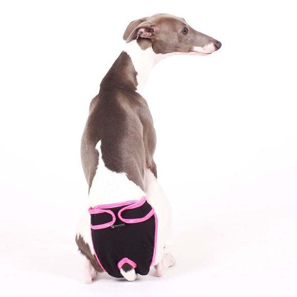 HOSE "EVE SOFA" FÜR PLI, WHIPPET, WINDHUND