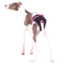 HOSE "EVE SOFA" FÜR PLI, WHIPPET, WINDHUND-1