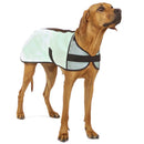 KÜHLMANTEL "SOFA COOL ONE" GRÜN FÜR WINDHUNDE-5