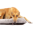 CUSCINO QUADRATO "SOFA TIGERS PILLOW" GRIGIO-5