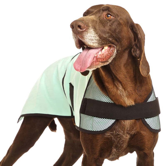 KÜHLMANTEL "SOFA COOL ONE" GRÜN FÜR WINDHUNDE