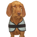 KÜHLMANTEL "SOFA COOL ONE" GRÜN FÜR WINDHUNDE-10