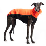 MAGLIETTA "DG OUTDOOR FLEECE TOP" NEON PER TUTTI I LEVRIERI