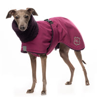 CAPPOTTINO INVERNALE "DG IG FLUFFY" FESTIVAL FUCSIA PER PICCOLO LEVRIERO ITALIANO