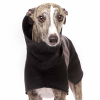 RAINCOAT "SOFA DOG WEAR MICHAEL EXTRARAIN 02" GRAY FOR PLI, WHIPPET, GALGO, SIGHThound 