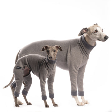 TUTA/PIGIAMINO IN PILE "DG URBAN WARMKEEPER BODY" GREY PER PICCOLO LEVRIERO E WHIPPET