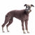 TUTA/PIGIAMINO IN PILE "DG URBAN WARMKEEPER BODY" DARK TAUPE PER PICCOLO LEVRIERO E WHIPPET