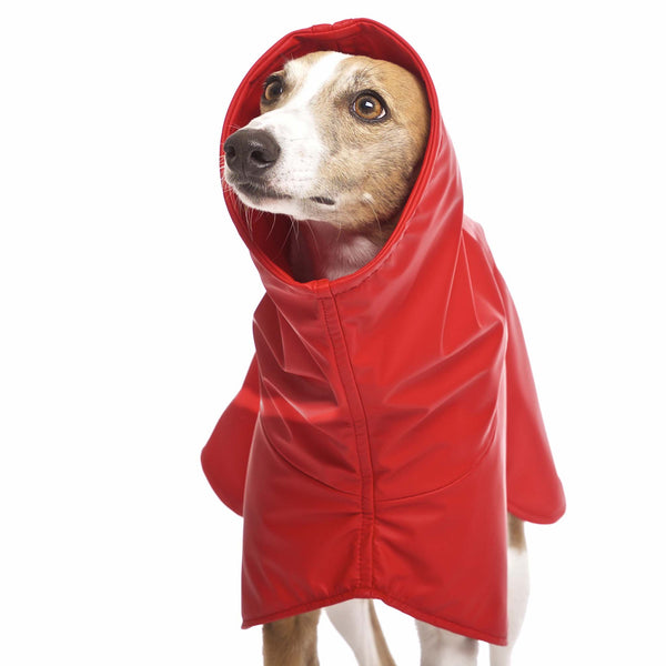 REGENMANTEL "SOFA DOG WEAR MICHAEL EXTRARAIN 02" GRAU FÜR PLI, WHIPPET, GALGO, WINDHUND 