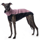 „DG OUTDOOR SOFT SHELL TOP“ BLAUES SHIRT FÜR PLI, WHIPPER, GALGO, GREYHOUND-2