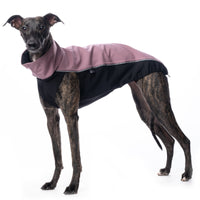 MAGLIETTA "DG OUTDOOR SOFT SHELL TOP"  ASH ROSE PER PLI, WHIPPET, GALGO, GREYHOUND (copia)