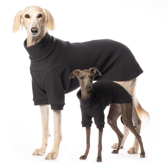 MAGLIETTA "DG URBAN UNDERWEAR WINTER" MAGNET GREY PER PLI, WHIPPET E LEVRIERO