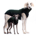 MAGLIETTA "DG OUTDOOR FLEECE TOP" JUNE BUG PER TUTTI I LEVRIERI