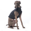 MAGLIETTA IN COTONE "DG COTTON UNDERWEAR" GRAFIT PLI, WHIPPET, LEVRIERO-1