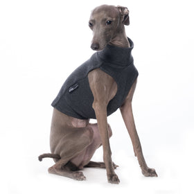 MAGLIETTA IN COTONE "DG COTTON UNDERWEAR" GRAFIT PLI, WHIPPET, LEVRIERO