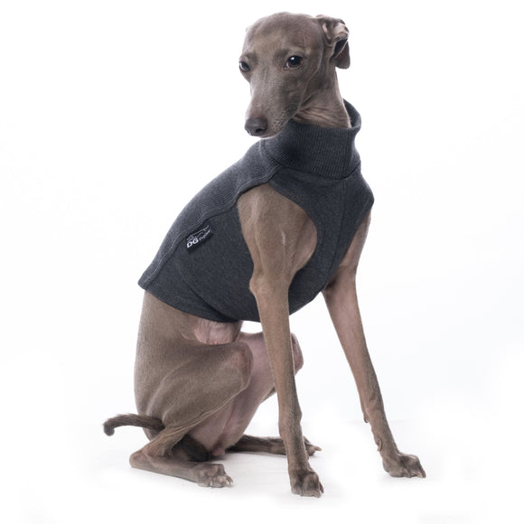 MAGLIETTA IN COTONE "DG COTTON UNDERWEAR" GRAFIT PLI, WHIPPET, LEVRIERO