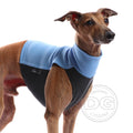 MAGLIETTA IN COTONE "DG COTTON UNDERWEAR LUXURY" AZZURRA PER PLI, WHIPPET, LEVRIERO