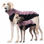 MAGLIETTA "DG OUTDOOR SOFT SHELL TOP"  ASH ROSE PER PLI, WHIPPET, GALGO, GREYHOUND (copia)