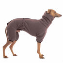 TUTA IN PILE "SOFA FIGARO" PER PICCOLO LEVRIERO ITALIANO - DUE COLORI DISPONIBILI-4