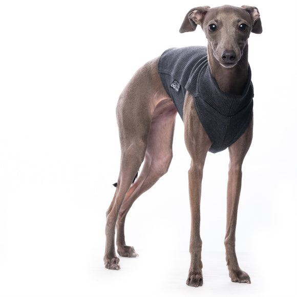 MAGLIETTA IN COTONE "DG COTTON UNDERWEAR" GRAFIT PLI, WHIPPET, LEVRIERO