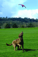 FRESBEE ACQUATICO "CHUCK IT FLYING SQUIRREL"-4