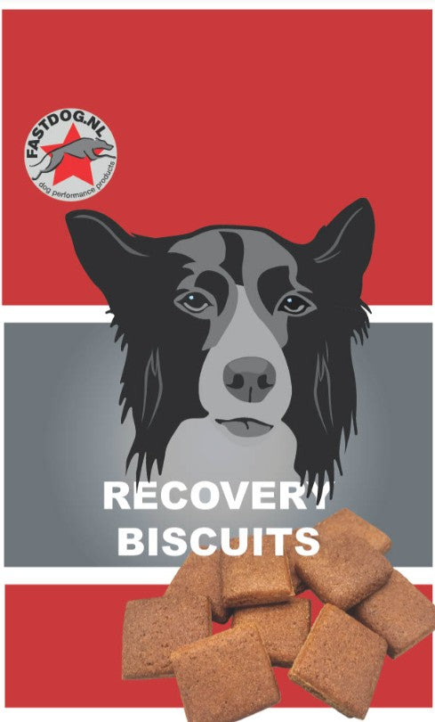 BISCOTTI PER IL REINTEGRO DELLE ENERGIE "FASTDOG RECOVERY BISCUITS"