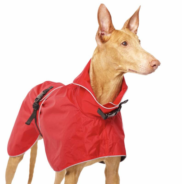 RED "SOFA DOG WEAR MICHAEL EXTRARAIN 02" RAINCOAT FOR WHIPPET, GALGO, GREYHOUND 