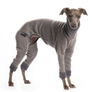 TUTA/PIGIAMINO IN PILE "DG URBAN WARMKEEPER BODY" GREY PER PICCOLO LEVRIERO E WHIPPET-2