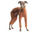 TUTA/PIGIAMINO IN PILE "DG URBAN WARMKEEPER BODY" PUMPKIN SPICE PER PICCOLO LEVRIERO E WHIPPET-2