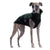 MAGLIETTA "DG OUTDOOR FLEECE TOP" JUNE BUG PER TUTTI I LEVRIERI