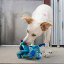 GIOCO PER CANI "KONG DRAGON KNOTS ASSORTITI"-2