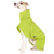 WATERPROOF IN LIGHT SOFT SHELL "SOFA DOG WEAR MICHAEL 02" LILA FOR WHIPPET, GALGO, GREYHOUND 