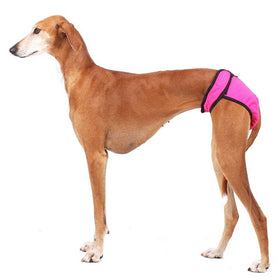 HOSE "EVE SOFA" FÜR PLI, WHIPPET, WINDHUND