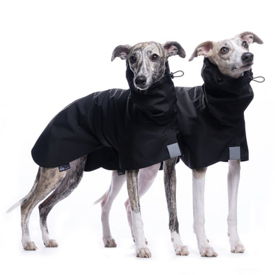 IMPERMEABILE "DG BASIC RAINCOAT LIGHT" BLACK - 0