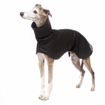 RAINCOAT "SOFA DOG WEAR MICHAEL EXTRARAIN 02" GRAY FOR PLI, WHIPPET, GALGO, SIGHThound 