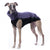 MAGLIETTA "DG OUTDOOR FLEECE TOP" MULLED GRAPE PER TUTTI I LEVRIERI