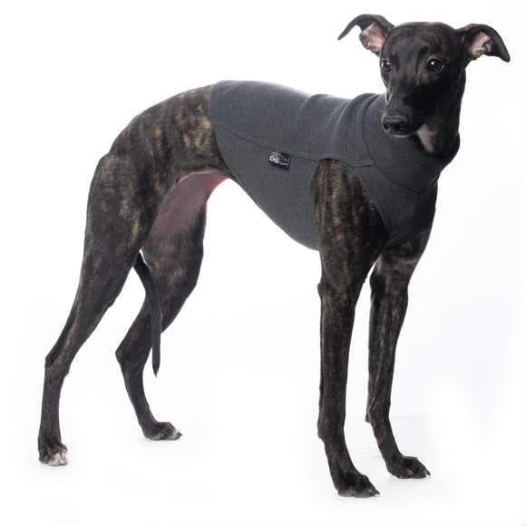 MAGLIETTA IN COTONE "DG COTTON UNDERWEAR" GRAFIT PLI, WHIPPET, LEVRIERO