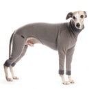 TUTA/PIGIAMINO IN PILE "DG URBAN WARMKEEPER BODY" GREY PER PICCOLO LEVRIERO E WHIPPET-3