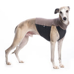 MAGLIETTA IN COTONE "DG COTTON UNDERWEAR" PIQUE BEIGE PLI, WHIPPET, LEVRIERO