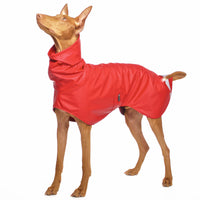 REGENMANTEL "SOFA DOG WEAR MICHAEL EXTRARAIN 02" GRAU FÜR PLI, WHIPPET, GALGO, WINDHUND 