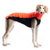 MAGLIETTA "DG OUTDOOR FLEECE TOP" NEON PER TUTTI I LEVRIERI