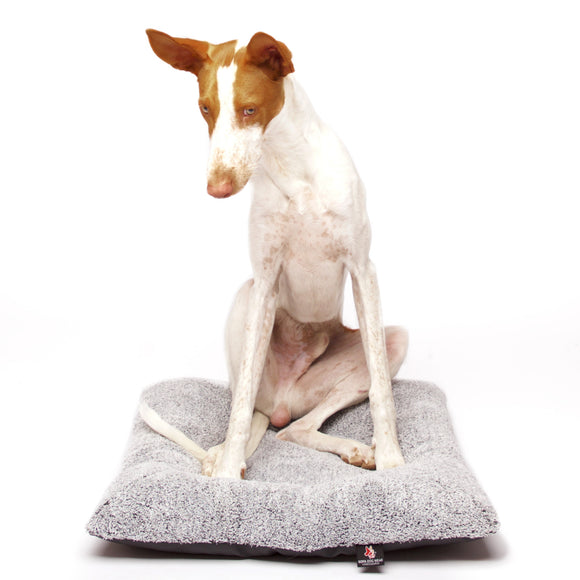 CUSCINO QUADRATO "SOFA TIGERS PILLOW" GRIGIO