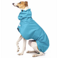 IMPERMEABILE IN LIGHT SOFT SHELL "SOFA DOG WEAR GABRIEL 03" TURQOISE PER WHIPPET