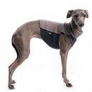 MAGLIETTA IN COTONE "DG COTTON UNDERWEAR" PIQUE BEIGE PLI, WHIPPET, LEVRIERO-2