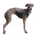 MAGLIETTA IN COTONE "DG COTTON UNDERWEAR" PIQUE BEIGE PLI, WHIPPET, LEVRIERO