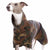 REGENMANTEL "SOFA DOG WEAR MICHAEL EXTRARAIN 02" GRAU FÜR PLI, WHIPPET, GALGO, WINDHUND 