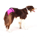 "EVE SOFA" PANTS FOR PLI, WHIPPET, GREYHOUND-3