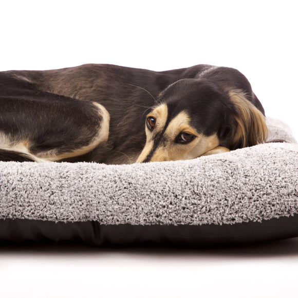 CUSCINO QUADRATO "SOFA TIGERS PILLOW" GRIGIO