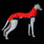 MAGLIETTA "DG OUTDOOR FLEECE TOP" NEON PER TUTTI I LEVRIERI